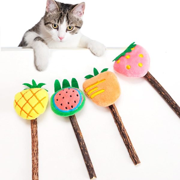 Natural Fruit Silvervine Sticks – Chew Toy for Kittens and Cats, for Aggressive Chewers